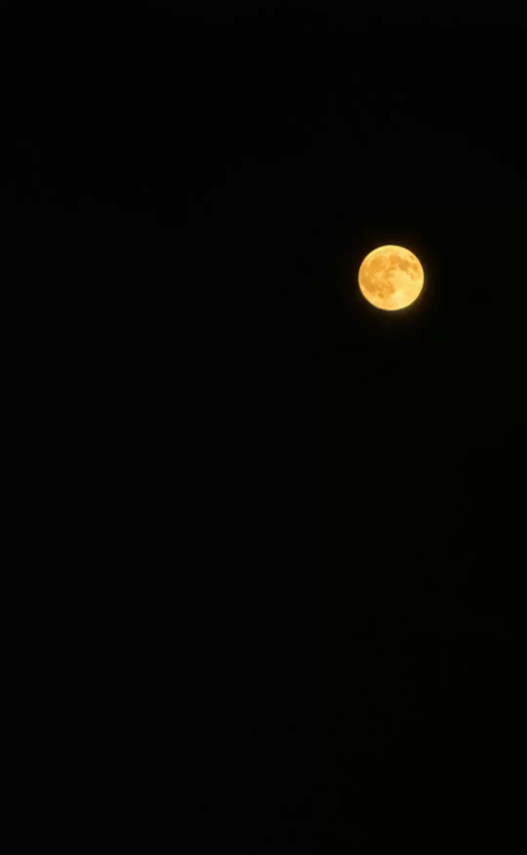 🌕infj：月亮只有