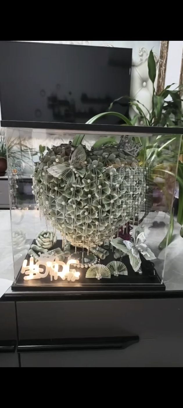 顾七七～的主播照片