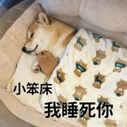 哇哈哈😂