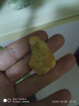 杀止若的图片