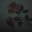 故鄉pDD
