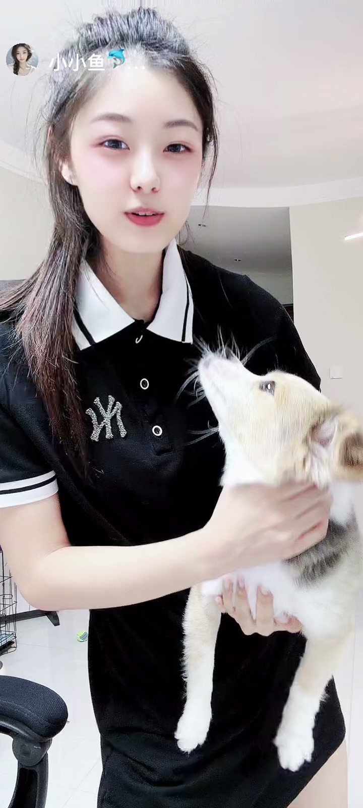 感谢.🌾.赠送碧玉葫芦6个