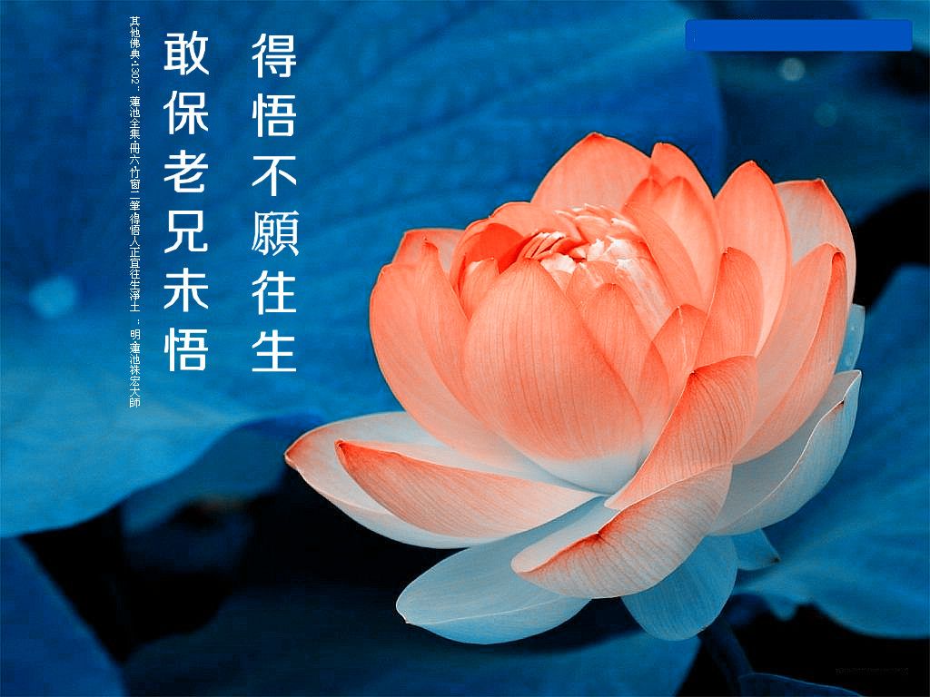 阿弥陀佛!的主播照片