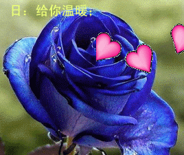linxinru32主播照片