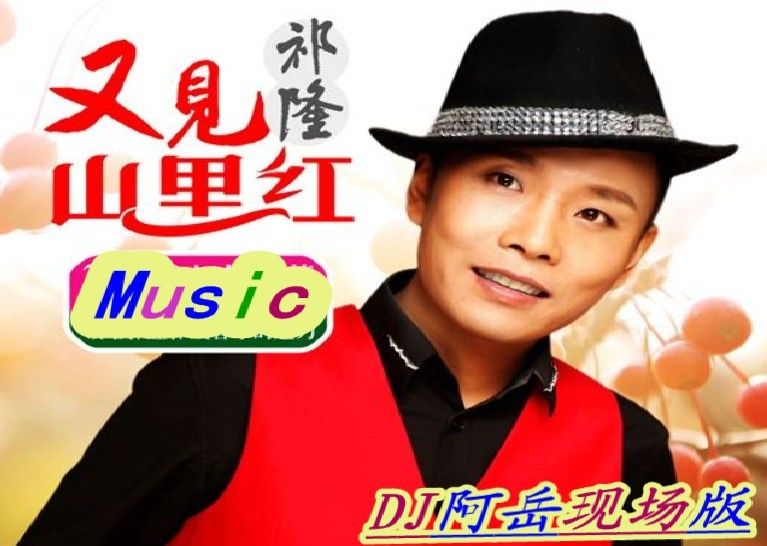 DJ阿岳主播照片