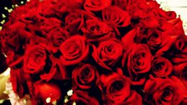 ペＫiS嫊钕灬｡♥♡主播照片