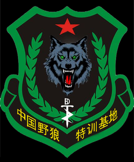 野狼特训基地主播照片