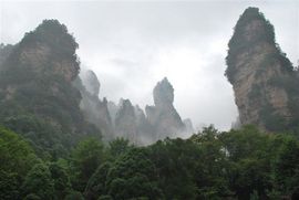 当土豆爱上西红柿主播照片