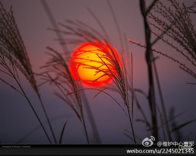 ۰•●浮生如梦●•۰的主播照片