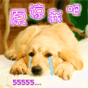 ゛猪爱芊．．・゜♡主播照片