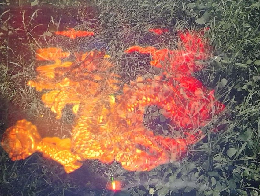 衍射光波导的主播照片
