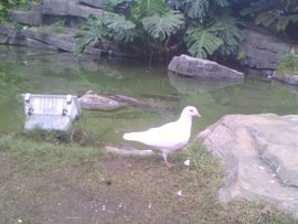 ❥丶坏坏。主播照片