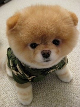 ╰ゝ嗨々你的奶瓶づ主播照片