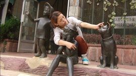 乖乖◇公主主播照片