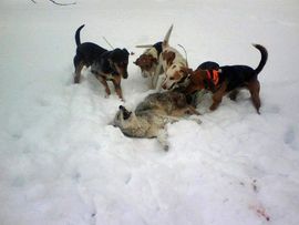 ♂╭T0千年ゅ盒粉主播照片