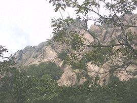 ˋ★│巫毒♂权哥°主播照片