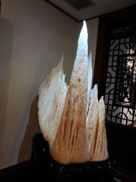 环绕速度外主播照片