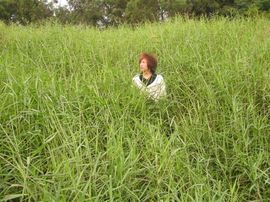 ひ唉那谁び主播照片