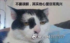 ☜①眼望輪徊☞主播照片