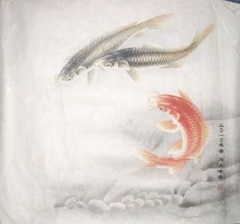 我的明天在哪主播照片