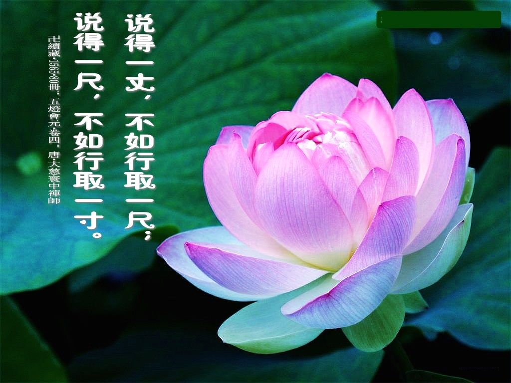 阿弥陀佛!的主播照片