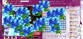媚儿啊主播照片