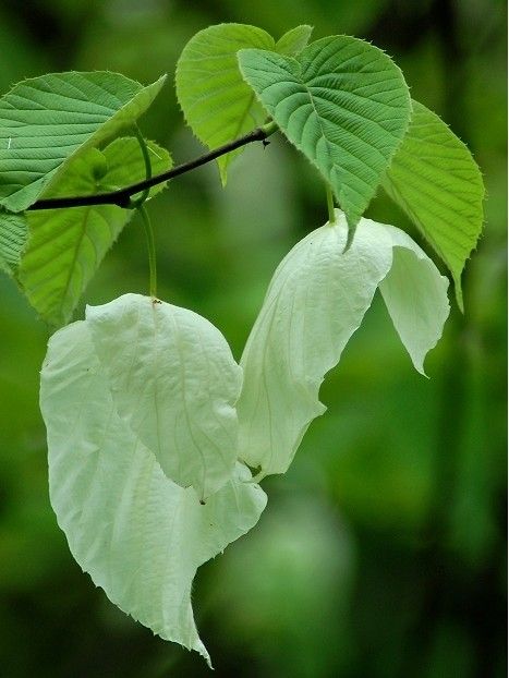 ★从走青春的主播照片