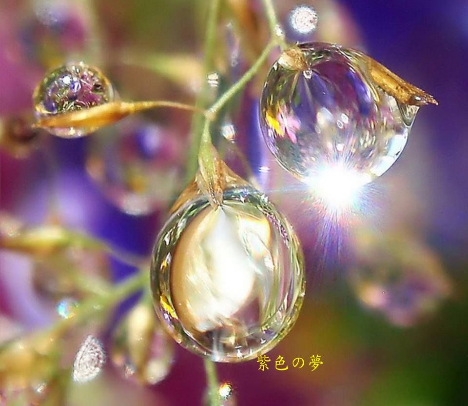 墨Fantasy的主播照片