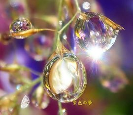 墨Fantasy主播照片