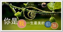 ╰❥2015主播照片