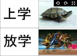 昵称违规，请重新修改主播照片