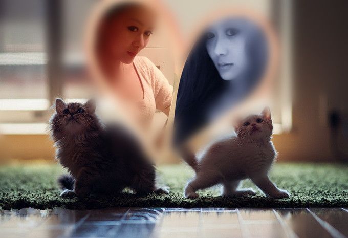 昵称违规，请重新修改的主播照片