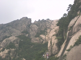 ˋ★│巫毒♂权哥°主播照片