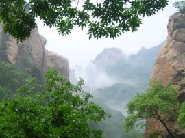 清秋君竹主播照片