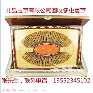 qq10846290的主播照片