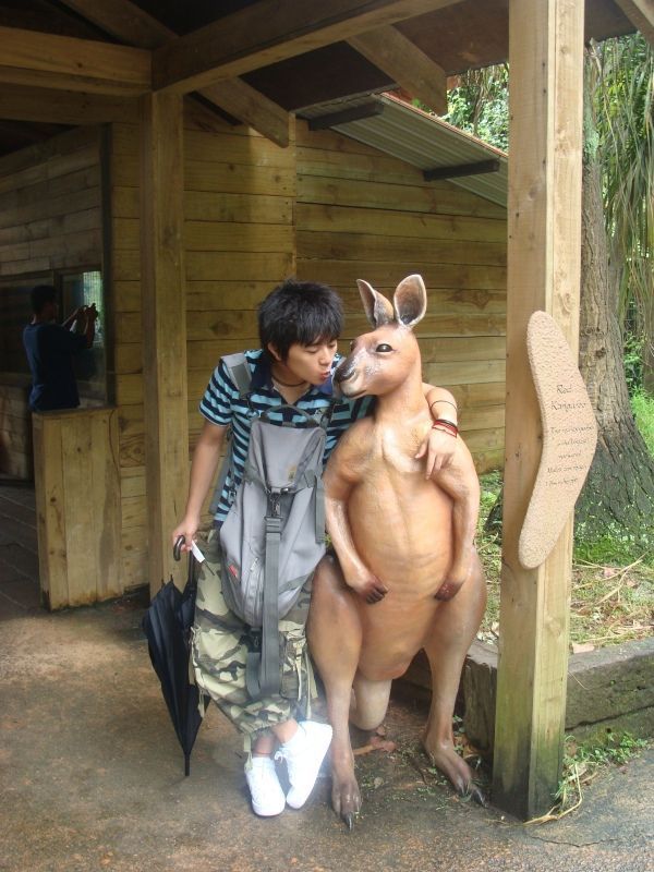 ♂释放我们的孤独的主播照片