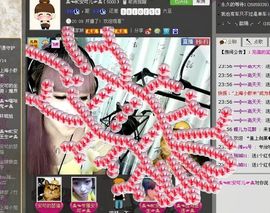 一只小安可主播照片