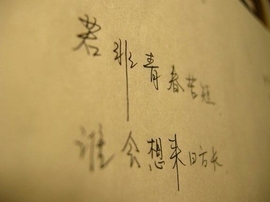音随我动主播照片