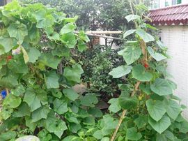 tianyuhw主播照片