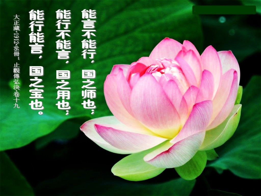 阿弥陀佛!的主播照片