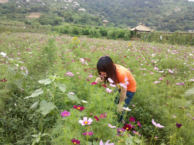 LOVE贤君的主播照片