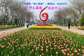 就爱来主播照片