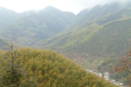 歉疚小s主播照片