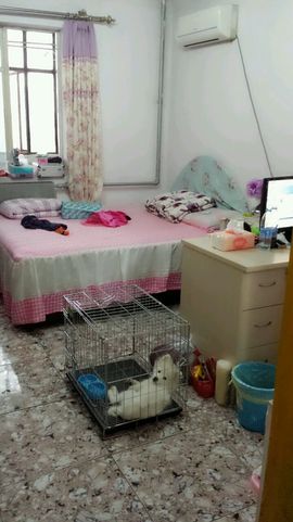 吃狐妖的小鹰主播照片