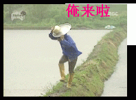 散场前的拥抱的图片