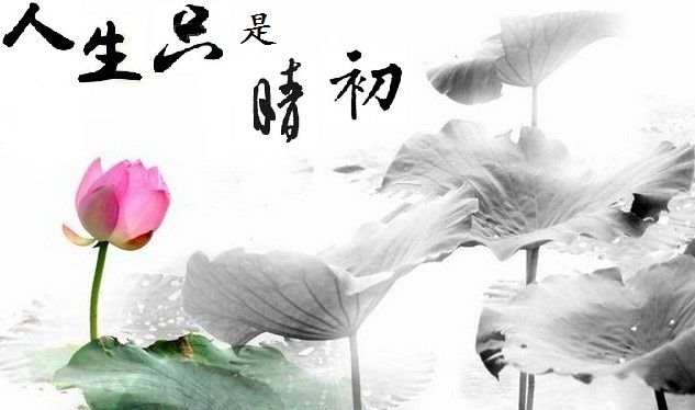 马诗龙的主播照片
