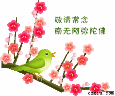 念佛求生极乐世界主播照片