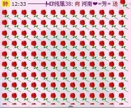 “布依-♬ゞ芳芳﹀╮主播照片