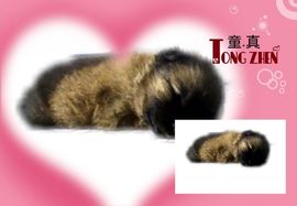 ╭夕★雨╮主播照片