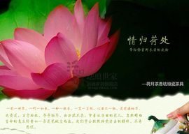 ╰❥℡冰雪每天40首主播照片